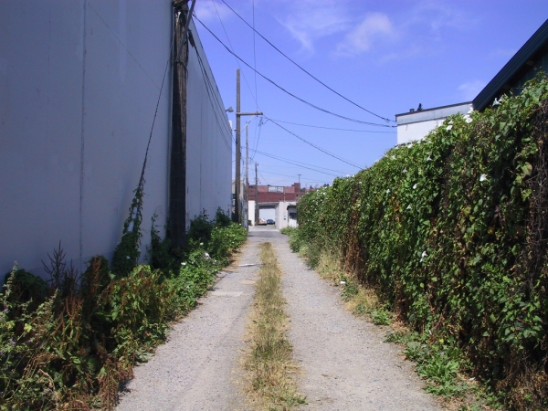 alley
