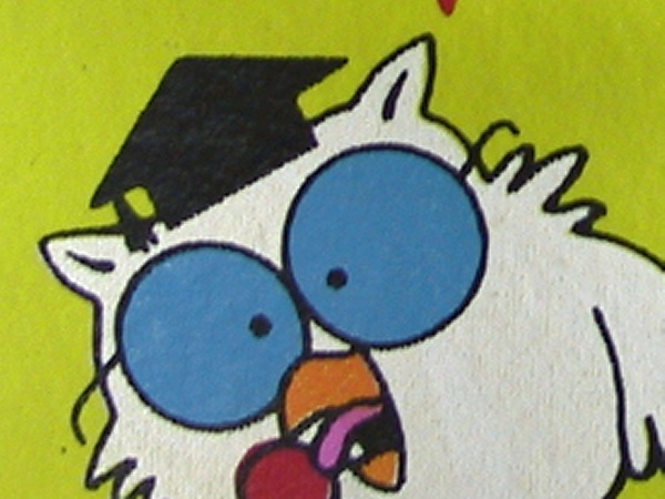 tootsieowl.jpg