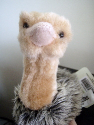 emu