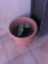 dsc00058.JPG